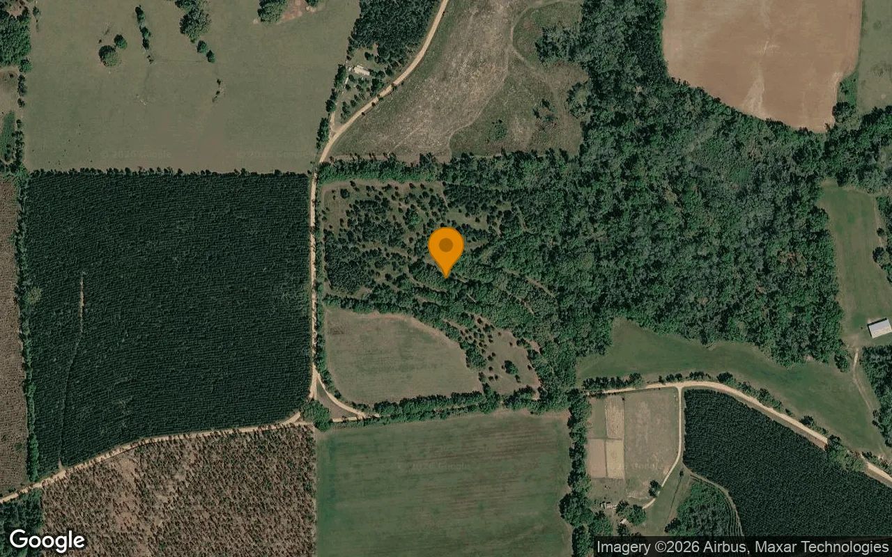 30.07 Acres in Greenville - Madison County, FL in Madison County, FL