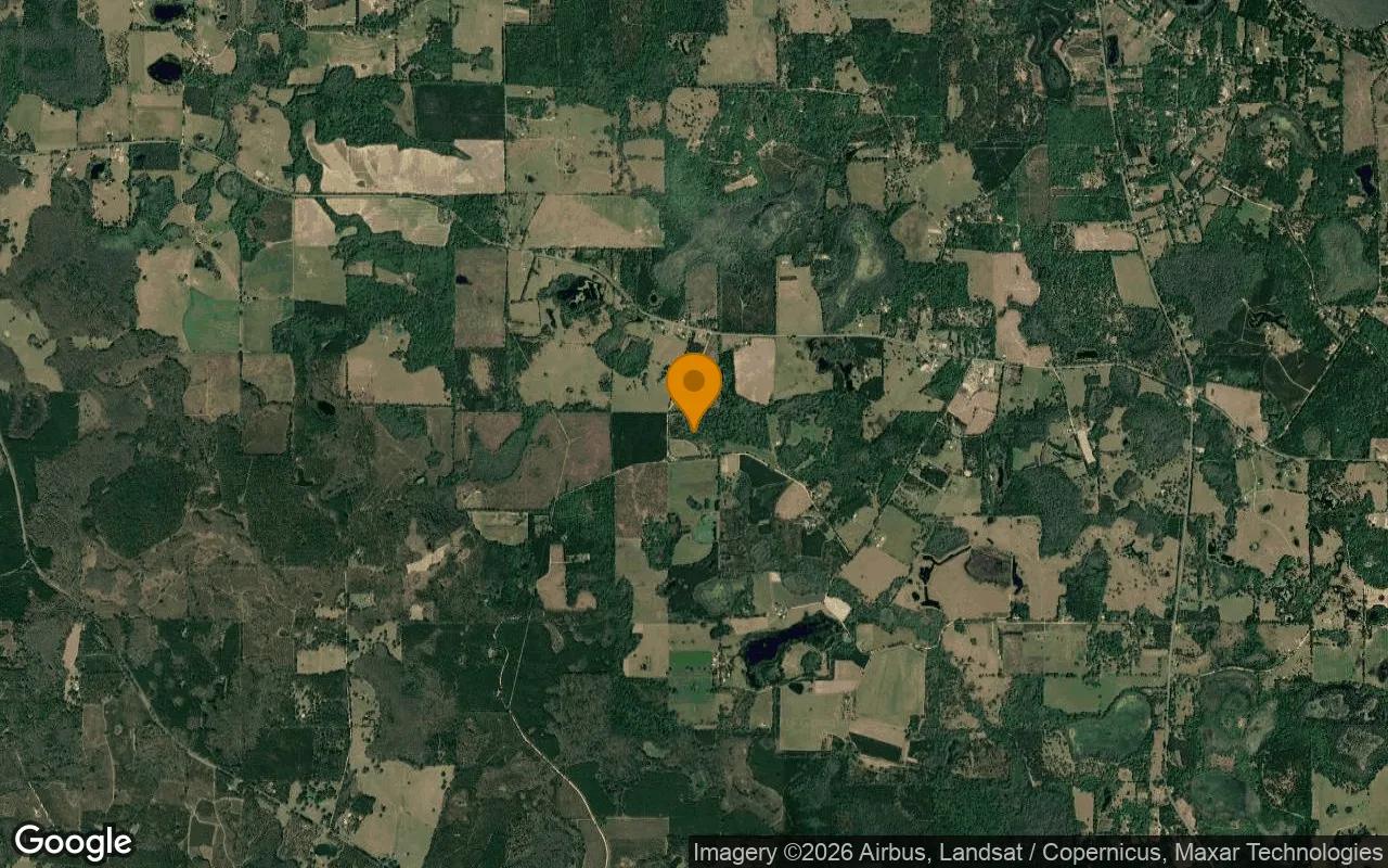 30.07 Acres in Greenville - Madison County, FL - Image 3