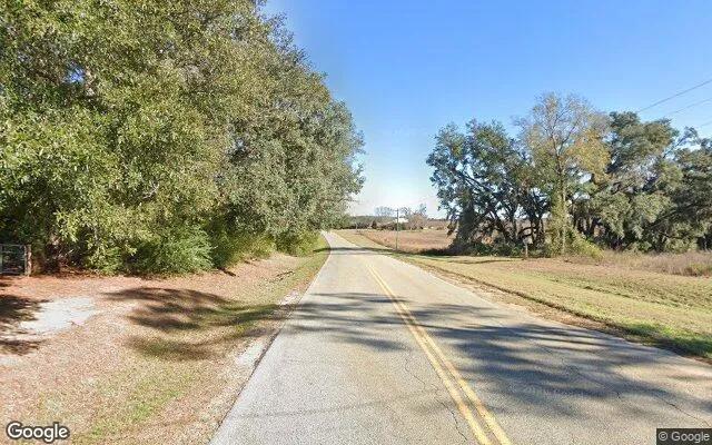 Decorative background for 30.07 Acres in Greenville - Madison County, FL image 5