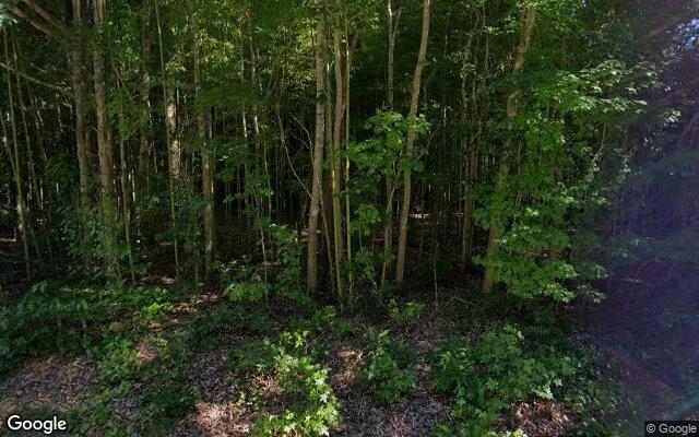 3.5 Acres in Chapel Hill - Chatham County, NC - Image 4