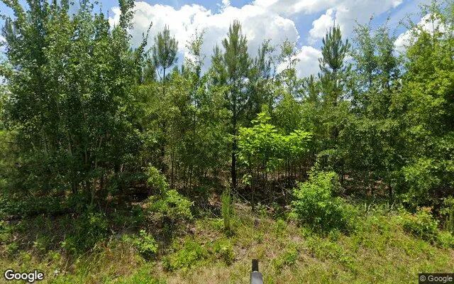 0.55 Acres in Laurel Hill - Scotland County, NC - Image 4