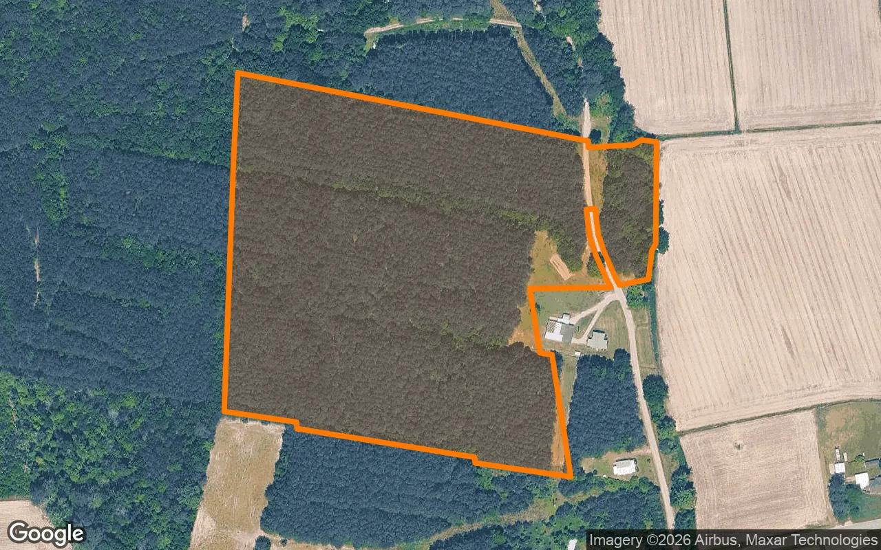 14.92 Acres in Hobbsville - Gates County, NC - Main image