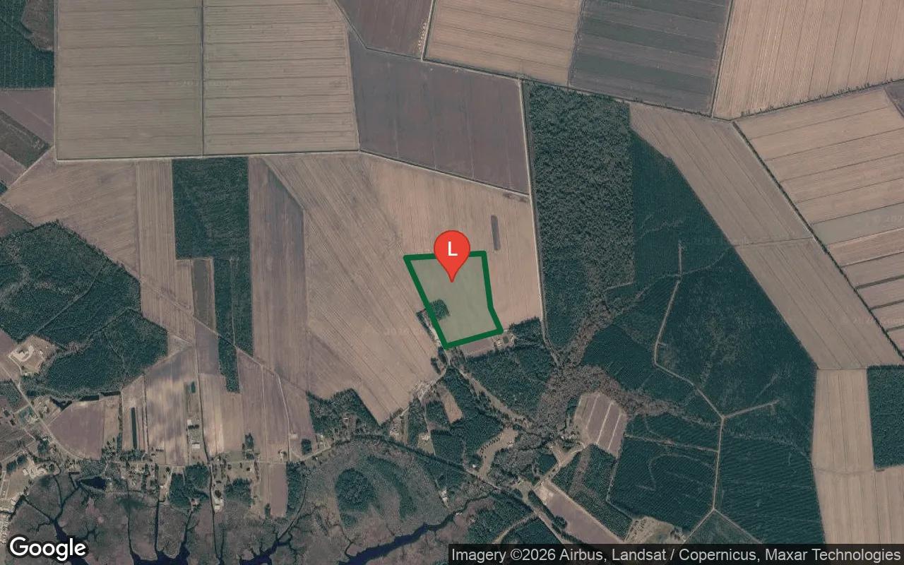 41.83 Acres in Scranton - Hyde County, NC - Image 3