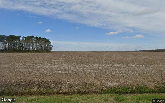 41.83 Acres in Scranton - Hyde County, NC - Image 4