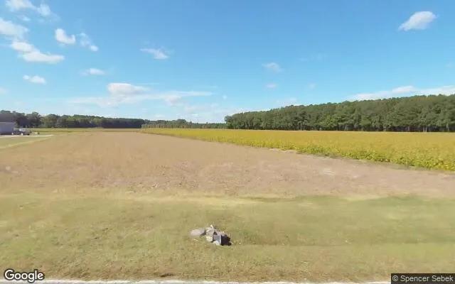 15.04 Acres in Hobbsville - Gates County, NC - Image 4
