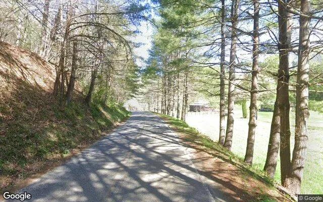 Decorative background for 3.52 Acres in Burnsville - Yancey County, NC image 5
