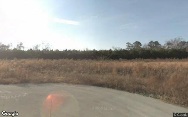 Decorative background for 0.55 Acres in Havelock - Craven County, NC image 5