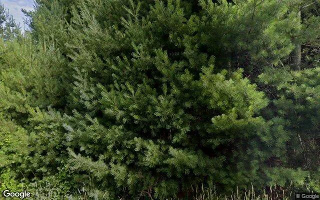 1.49 Acres in Boone - Watauga County, NC - Image 4