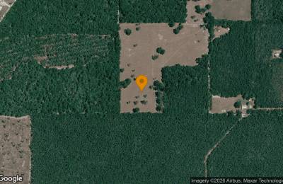 30.27 Acres in Branford - Gilchrist County, FL