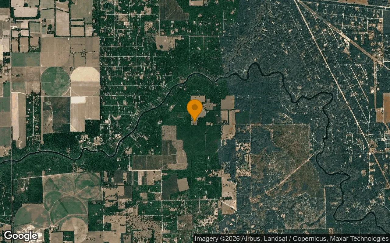 30.27 Acres in Branford - Gilchrist County, FL - Image 3