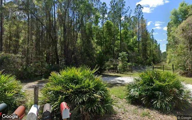 Decorative background for 30.27 Acres in Branford - Gilchrist County, FL image 5