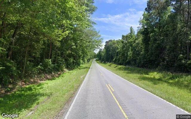 Decorative background for 0.55 Acres in Seven Springs - Lenoir County, NC image 6