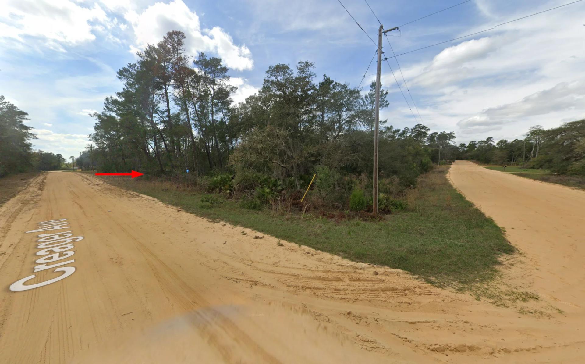 Decorative background for 119 CREAGER AVE, INTERLACHEN, FL 32148 image 7