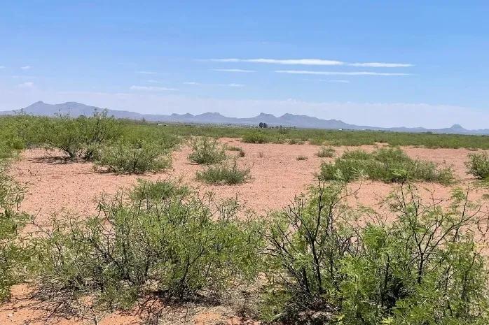0.49 Acres for Sale in Douglas, Arizona - Main image
