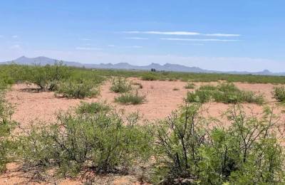 0.49 Acres for Sale in Douglas, Arizona