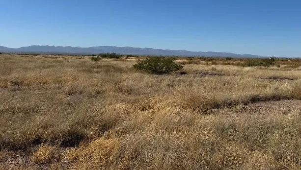 0.29 Acres for Sale in Douglas, Arizona - Main image