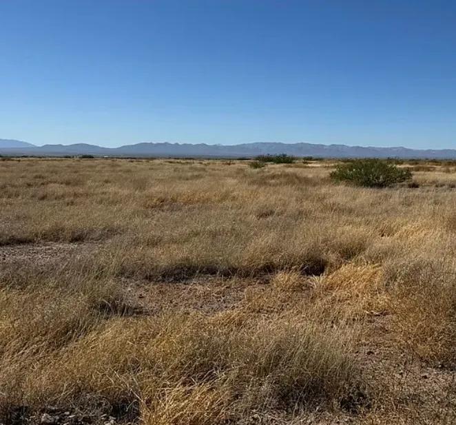 0.29 Acres for Sale in Douglas, Arizona - Image 2