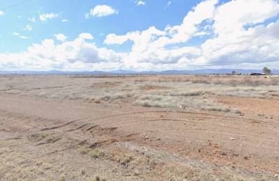 0.32 Acres for Sale in Douglas, Arizona