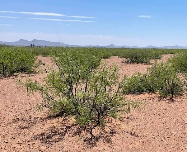 0.98 Acres for Sale in Douglas, Arizona - Image 2