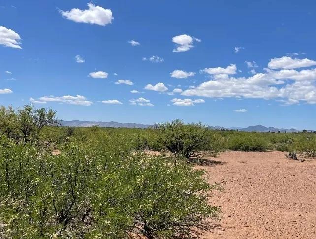 0.49 Acres for Sale in Douglas, Arizona - Main image