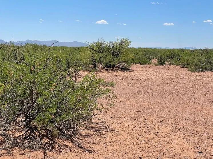 0.49 Acres for Sale in Douglas, Arizona - Image 2
