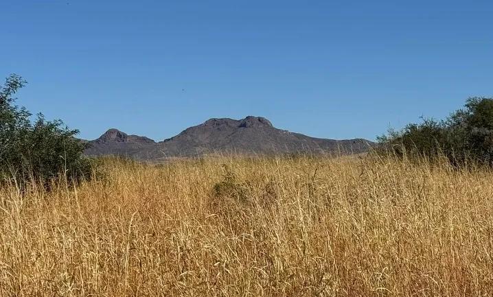 0.34 Acres for Sale in Douglas, Arizona - Main image