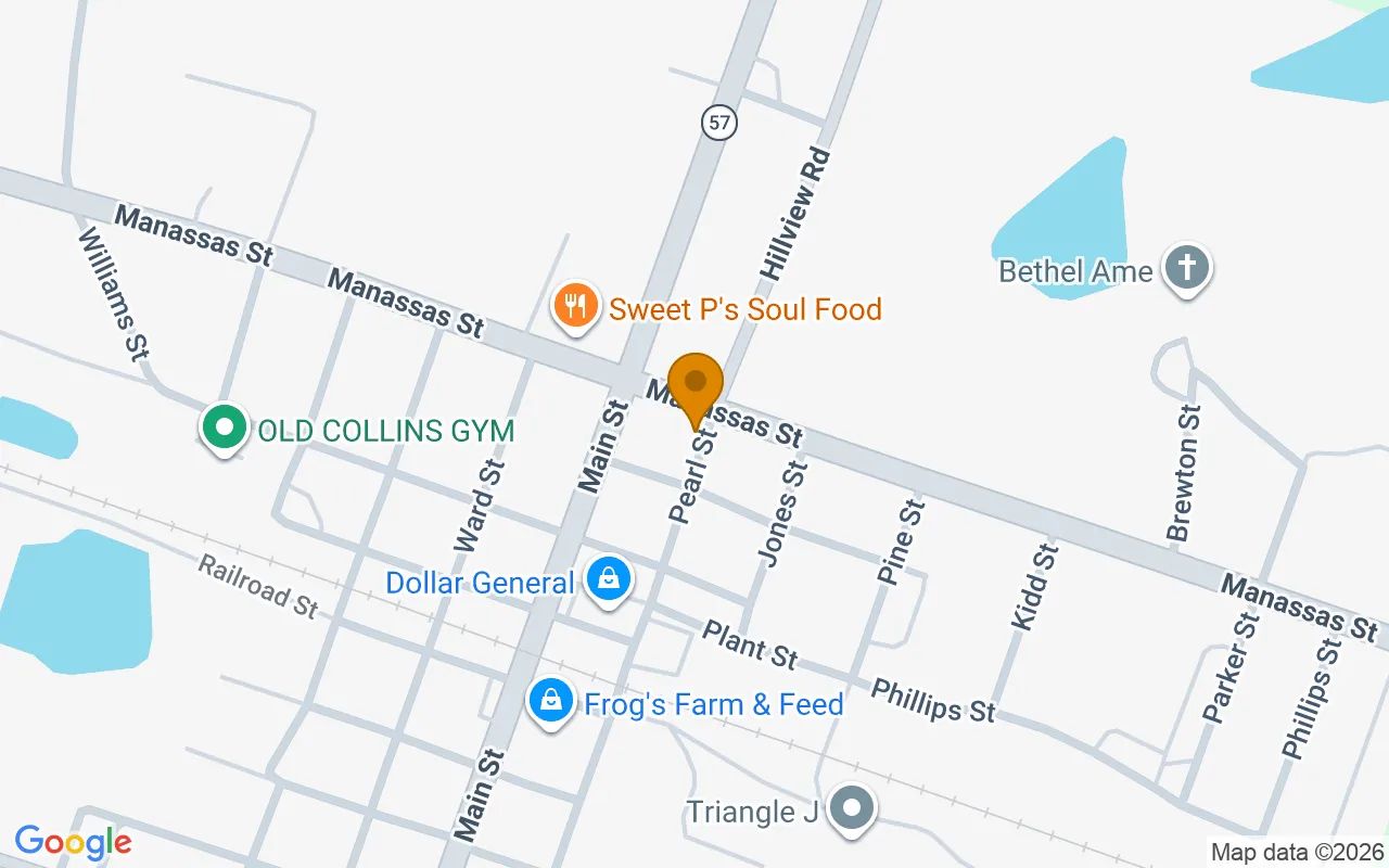 0.11 Acres in Collins - Tattnall County, GA in Tattnall County, Georgia
