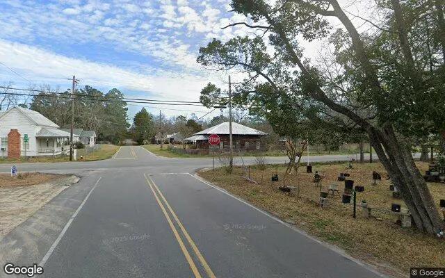 Decorative background for 0.11 Acres in Collins - Tattnall County, GA image 6