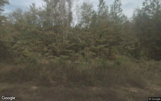 7.48 Acres in Brooklet - Bulloch County, GA in Bulloch County, Georgia