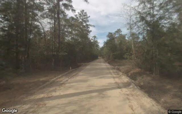 Decorative background for 7.48 Acres in Brooklet - Bulloch County, GA image 5