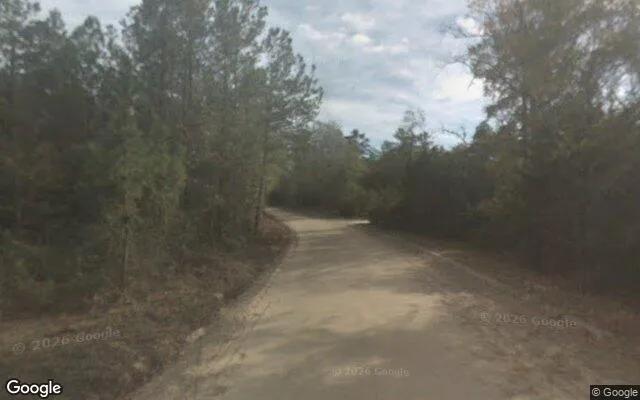 Decorative background for 7.48 Acres in Brooklet - Bulloch County, GA image 6
