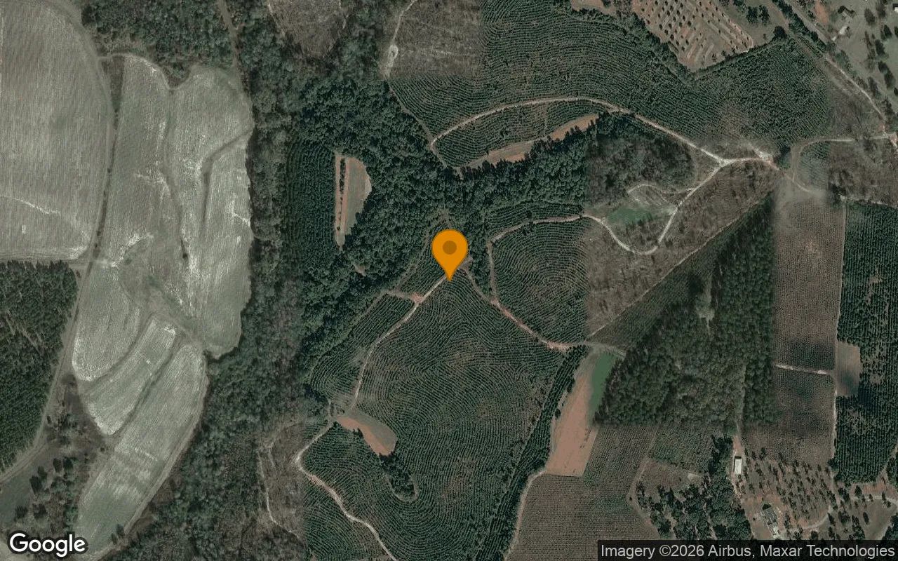 126.72 Acres in Richland - Webster County, GA in Webster County, Georgia