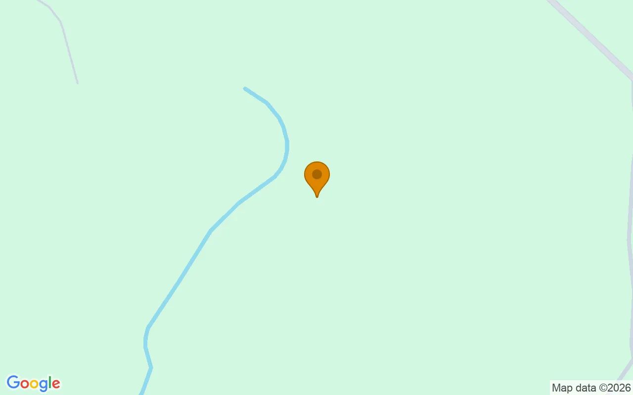 126.72 Acres in Richland - Webster County, GA in Webster County, Georgia