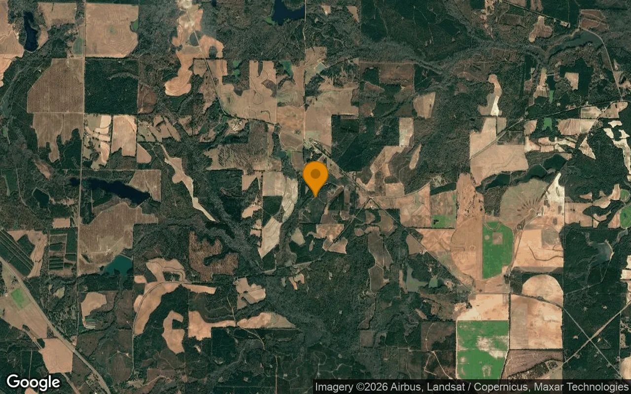 126.72 Acres in Richland - Webster County, GA in Webster County, Georgia