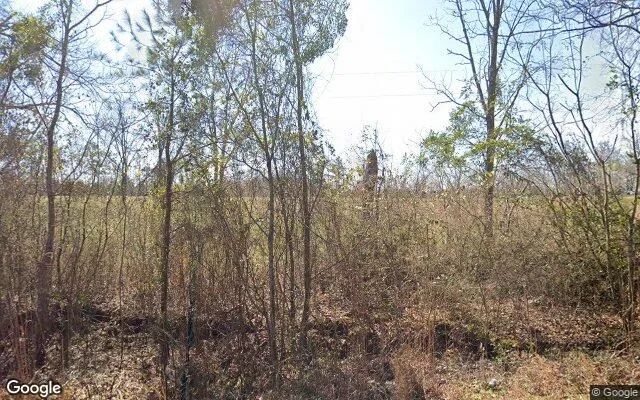 126.72 Acres in Richland - Webster County, GA in Webster County, Georgia