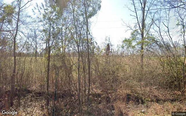 126.72 Acres in Richland - Webster County, GA - Image 4