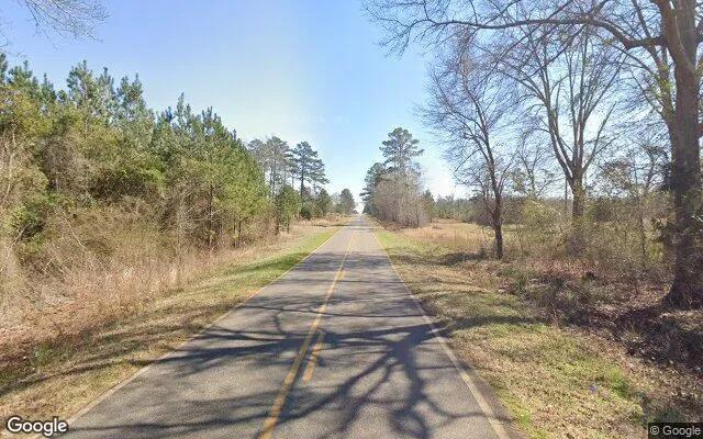 Decorative background for 126.72 Acres in Richland - Webster County, GA image 5