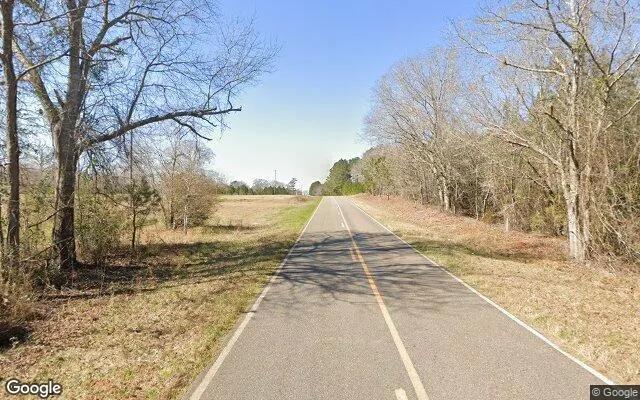 Decorative background for 126.72 Acres in Richland - Webster County, GA image 6