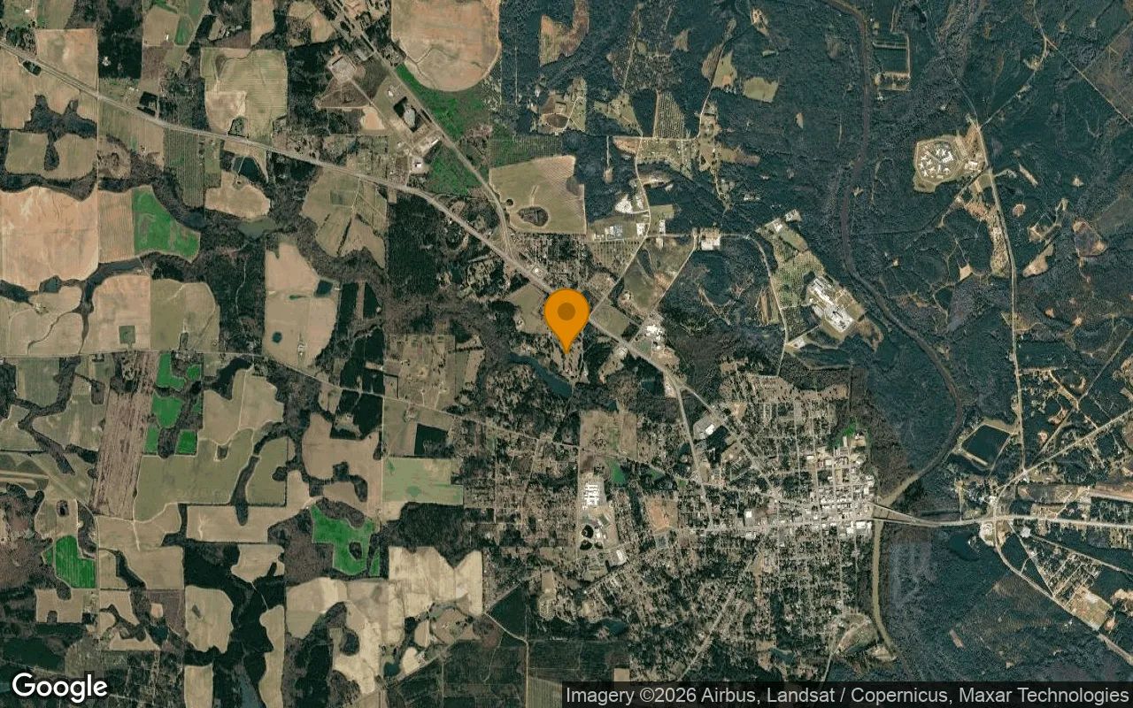 15.37 Acres in Hawkinsville - Pulaski County, GA in Pulaski County, Georgia