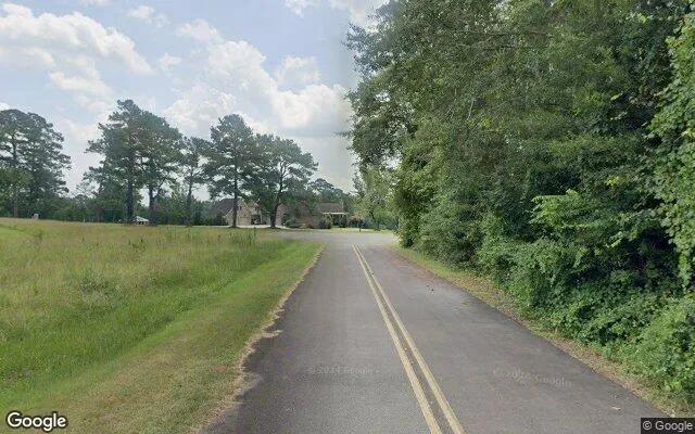Decorative background for 15.37 Acres in Hawkinsville - Pulaski County, GA image 6