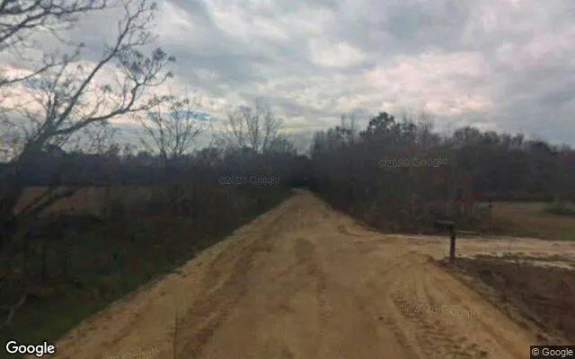 Decorative background for 14.98 Acres in Sylvania - Screven County, GA image 5
