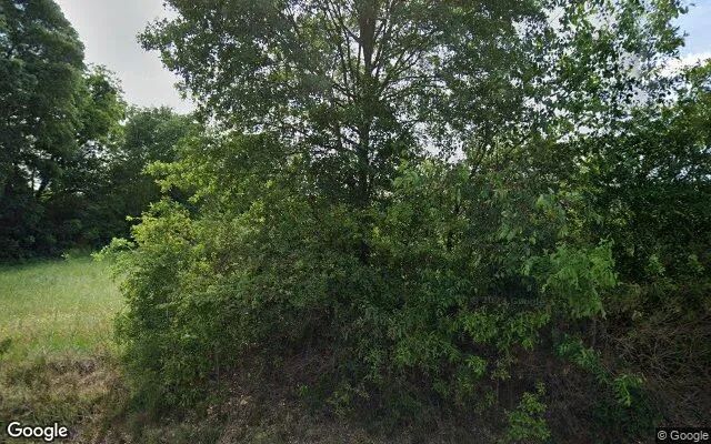 0.18 Acres in Carnesville - Franklin County, GA in Franklin County, Georgia
