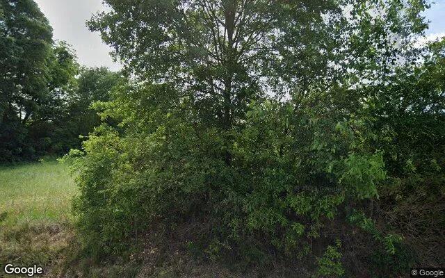 0.18 Acres in Carnesville - Franklin County, GA - Image 4