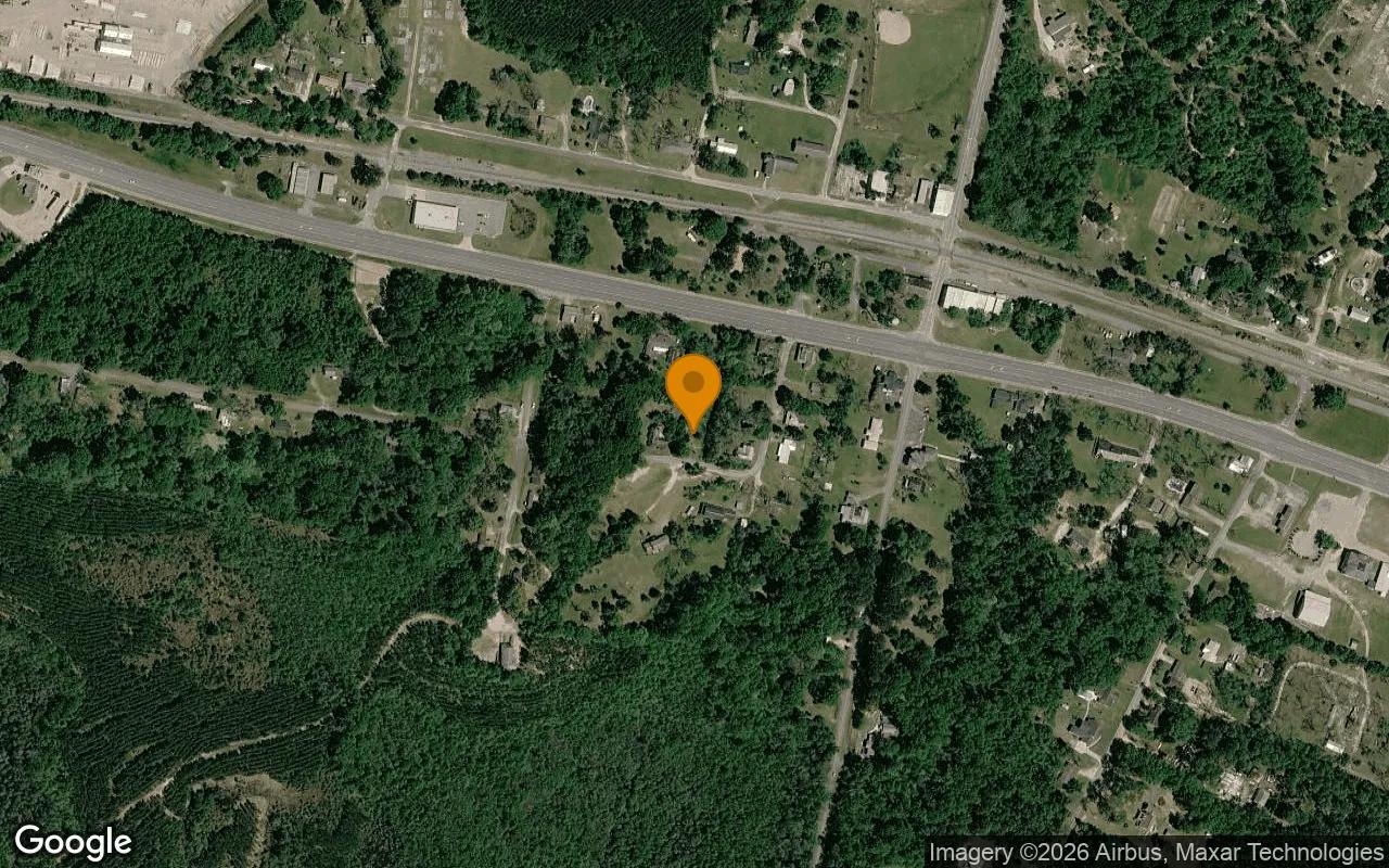 0.35 Acres in Chauncey - Dodge County, GA - Main image