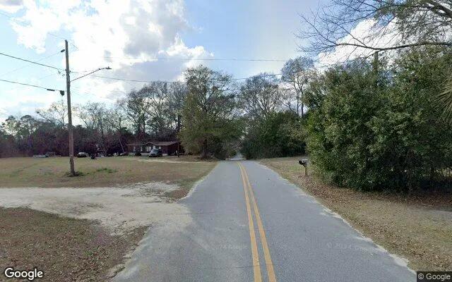 Decorative background for 0.35 Acres in Chauncey - Dodge County, GA image 5