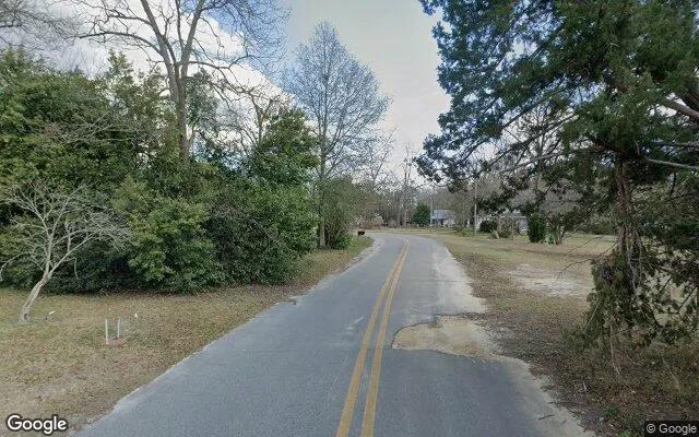 Decorative background for 0.35 Acres in Chauncey - Dodge County, GA image 6