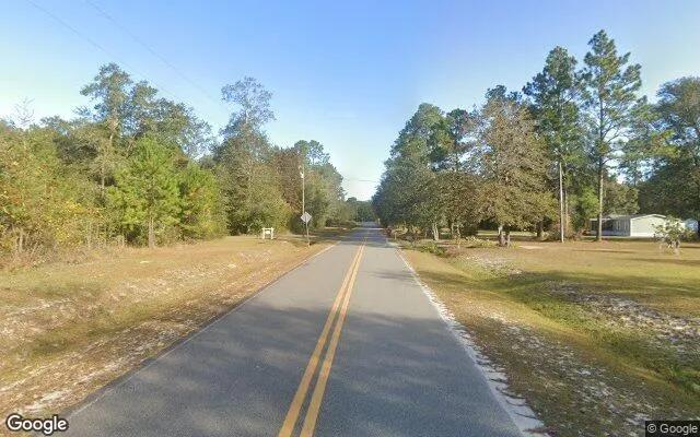 Decorative background for 1.5 Acres in Blackshear - Pierce County, GA image 5