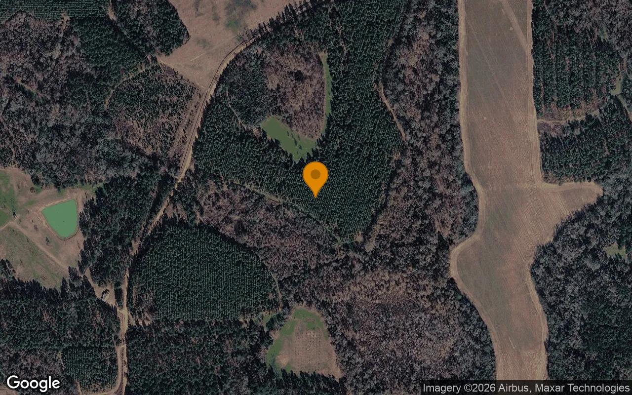 124.82 Acres in Montezuma - Dooly County, GA - Main image