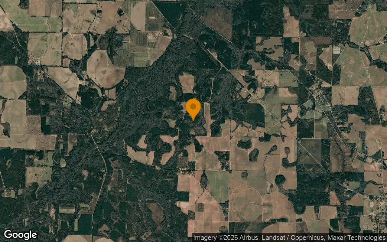 124.82 Acres in Montezuma - Dooly County, GA in Dooly County, Georgia