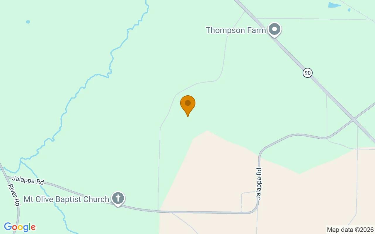124.82 Acres in Montezuma - Dooly County, GA - Image 4